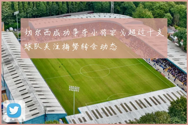 切尔西成功争夺小将宗戈超过十支球队关注梅努转会动态