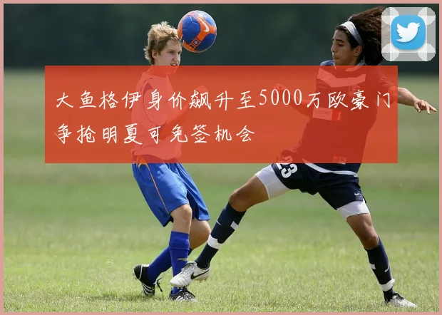 大鱼格伊身价飙升至5000万欧豪门争抢明夏可免签机会