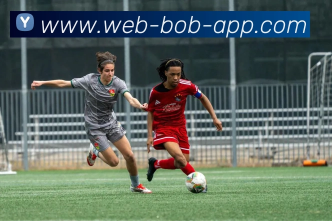 App Interface Preview