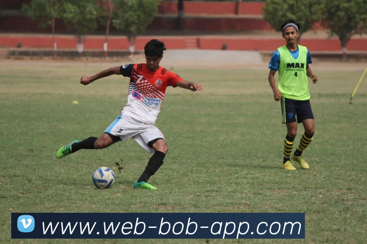 BOB体育APP 封面图